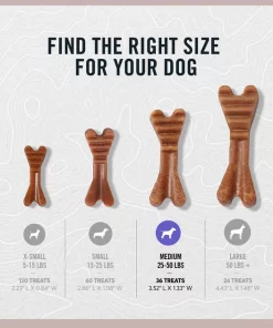 American Journey Medium Grain-Free Fresh Dental Dog Treats -American Journey Sales 2024 213570 PT4. SY630 V1603370517