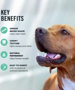 American Journey Large Grain-Free Fresh Dental Dog Treats -American Journey Sales 2024 213572 PT7. SY630 V1600463839