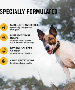 American Journey Active Life Formula Small Breed Chicken, Brown Rice & Vegetables Recipe Adult Dry Dog Food, 14-lb bag 6 American Journey Active Life Formula Small Breed Chicken, Brown Rice & Vegetables Recipe Adult Dry Dog Food, 14-lb bag -American Journey Sales 2024 213621 PT4. SY630 V1594328197