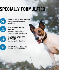 American Journey Active Life Formula Small Breed Salmon, Brown Rice & Vegetables Recipe Adult Dry Dog Food, 14-lb bag 6 American Journey Active Life Formula Small Breed Salmon, Brown Rice & Vegetables Recipe Adult Dry Dog Food, 14-lb bag -American Journey Sales 2024 213623 PT4. SY630 V1594328165