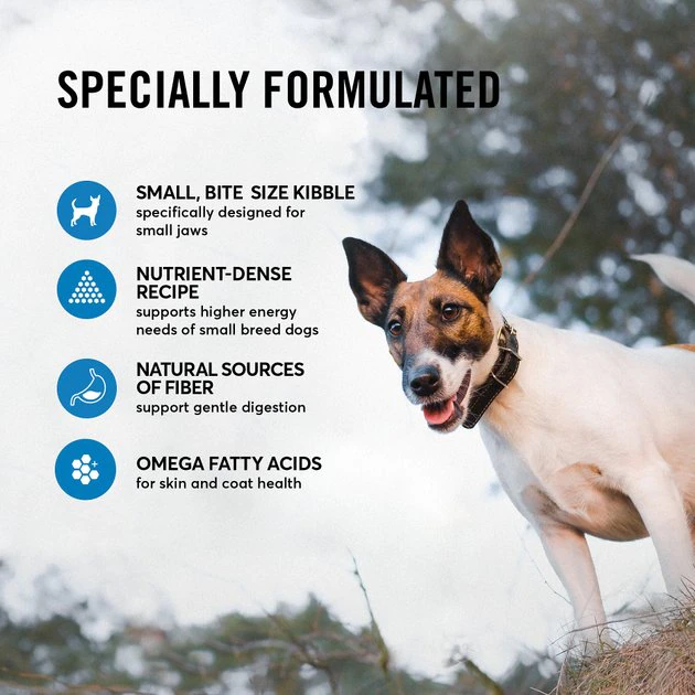 American Journey Active Life Formula Small Breed Salmon, Brown Rice & Vegetables Recipe Adult Dry Dog Food, 14-lb bag American Journey Active Life Formula Small Breed Salmon, Brown Rice & Vegetables Recipe Adult Dry Dog Food, 14-lb bag -American Journey Sales 2024 213623 PT4. SY630 V1594328165