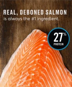 American Journey Active Life Formula Small Breed Salmon, Brown Rice & Vegetables Recipe Adult Dry Dog Food, 14-lb bag 10 American Journey Active Life Formula Small Breed Salmon, Brown Rice & Vegetables Recipe Adult Dry Dog Food, 14-lb bag -American Journey Sales 2024 213623 PT8. SY630 V1594329078