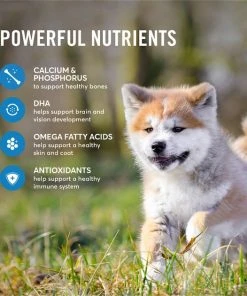 American Journey Active Life Formula Puppy Salmon, Brown Rice & Vegetables Recipe Dry Dog Food, 28-lb bag 6 American Journey Active Life Formula Puppy Salmon, Brown Rice & Vegetables Recipe Dry Dog Food, 28-lb bag -American Journey Sales 2024 214827 PT4. SY630 V1594320070