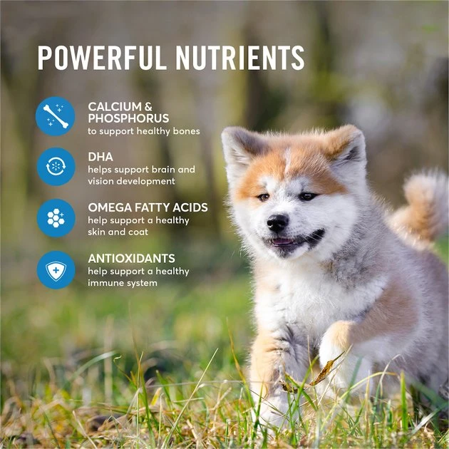 American Journey Active Life Formula Puppy Salmon, Brown Rice & Vegetables Recipe Dry Dog Food, 28-lb bag American Journey Active Life Formula Puppy Salmon, Brown Rice & Vegetables Recipe Dry Dog Food, 28-lb bag -American Journey Sales 2024 214827 PT4. SY630 V1594320070