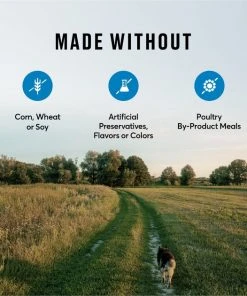 American Journey Active Life Formula Healthy Weight Salmon, Brown Rice & Vegetables Recipe Dry Dog Food, 28-lb -American Journey Sales 2024 214829 PT6. SY630 V1594394758