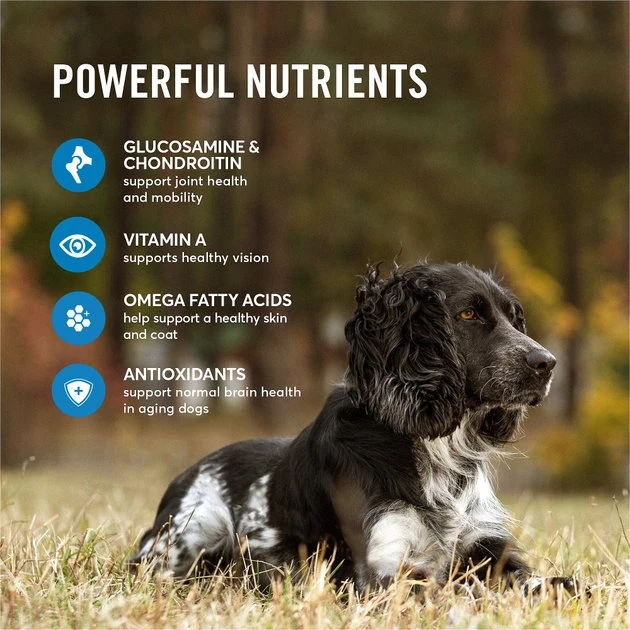 American Journey Active Life Formula Senior Salmon, Brown Rice & Vegetables Recipe Dry Dog Food, 28-lb bag American Journey Active Life Formula Senior Salmon, Brown Rice & Vegetables Recipe Dry Dog Food, 28-lb bag -American Journey Sales 2024 214831 PT4. SY630 V1594334158