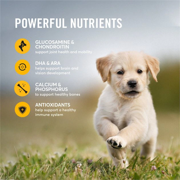 American Journey Active Life Formula Large Breed Puppy Chicken, Brown Rice & Vegetables Recipe Dry Dog Food, 28-lb bag American Journey Active Life Formula Large Breed Puppy Chicken, Brown Rice & Vegetables Recipe Dry Dog Food, 28-lb bag -American Journey Sales 2024 214833 PT4. SY630 V1594319758