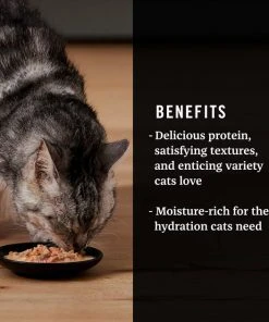 American Journey Landmark Broths Salmon, Tomatoes & Kale Recipe Wet Cat Food Complement Pouches, 1.4 oz case of 16 -American Journey Sales 2024 219486 PT3. SY630 V1608239577