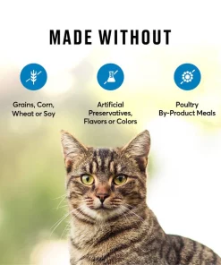 American Journey 100% Salmon Freeze-Dried Grain-Free Cat Treat, 2-oz bag -American Journey Sales 2024 224440 PT7. SY630 V1607585576