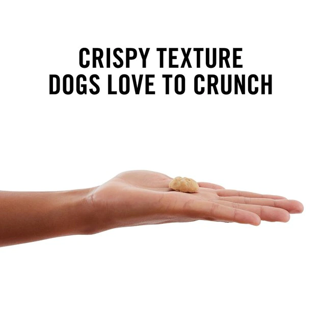 American Journey Apples & Cinnamon Flavor Grain-Free Oven Baked Crunchy Biscuit Dog Treats, 8-oz bag American Journey Apples & Cinnamon Flavor Grain-Free Oven Baked Crunchy Biscuit Dog Treats -American Journey Sales 2024 241529 PT3. SY630 V1632188351