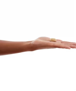 American Journey Apples & Cinnamon Flavor Grain-Free Oven Baked Crunchy Biscuit Dog Treats 5 American Journey Apples & Cinnamon Flavor Grain-Free Oven Baked Crunchy Biscuit Dog Treats -American Journey Sales 2024 241529 PT4. SY630 V1608346338