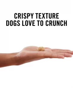 American Journey Sausage, Egg & Cheese Flavor Grain-Free Oven Baked Crunchy Biscuit Dog Treats 4 American Journey Sausage, Egg & Cheese Flavor Grain-Free Oven Baked Crunchy Biscuit Dog Treats -American Journey Sales 2024 241533 PT3. SY630 V1632188873