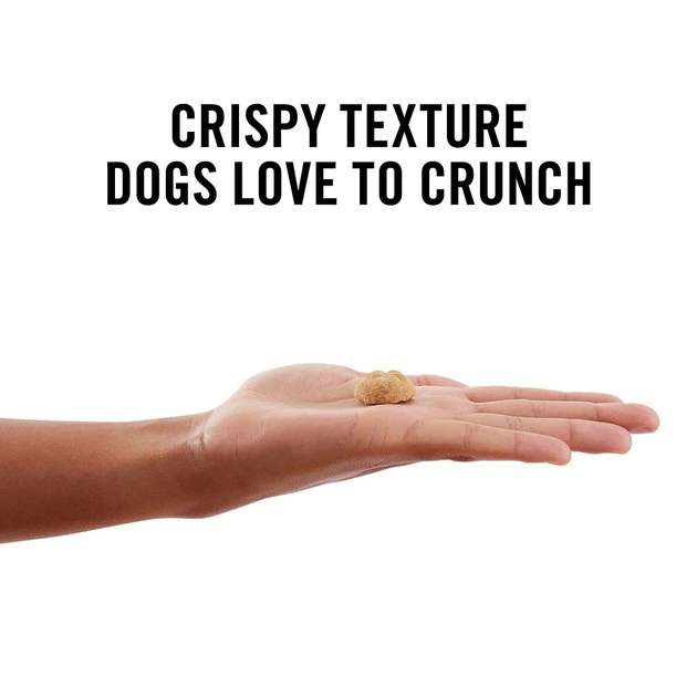 American Journey Sausage, Egg & Cheese Flavor Grain-Free Oven Baked Crunchy Biscuit Dog Treats, 8-oz bag American Journey Sausage, Egg & Cheese Flavor Grain-Free Oven Baked Crunchy Biscuit Dog Treats -American Journey Sales 2024 241533 PT3. SY630 V1632188873