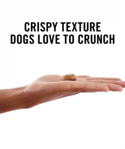 American Journey Duck Recipe Grain-Free Oven Baked Crunchy Biscuit Dog Treats 5 American Journey Duck Recipe Grain-Free Oven Baked Crunchy Biscuit Dog Treats -American Journey Sales 2024 241537 PT3. SY630 V1632188275