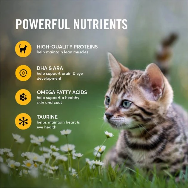 American Journey Kitten Pate Chicken Recipe Grain-Free Canned Cat Food, 3-oz, case of 24 American Journey Kitten Pate Chicken Recipe Grain-Free Canned Cat Food, 3-oz, case of 24 -American Journey Sales 2024 242872 PT4. SY630 V1608265657