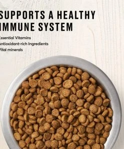 American Journey Kitten Chicken Recipe Grain-Free Dry Cat Food, 5-lb bag -American Journey Sales 2024 243722 PT3. SY630 V1611089503