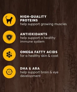 American Journey Kitten Chicken Recipe Grain-Free Dry Cat Food, 5-lb bag -American Journey Sales 2024 243722 PT4. SY630 V1611089505