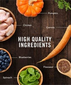 American Journey Kitten Chicken Recipe Grain-Free Dry Cat Food, 5-lb bag -American Journey Sales 2024 243722 PT5. SY630 V1611089507