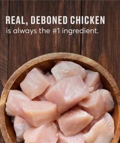 American Journey Kitten Chicken Recipe Grain-Free Dry Cat Food, 5-lb bag -American Journey Sales 2024 243722 PT7. SY630 V1611608165