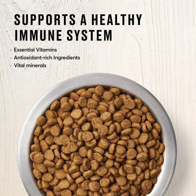 American Journey Indoor Recipe with Chicken Grain-Free Dry Cat Food, 12-lb bag American Journey Indoor Recipe with Chicken Grain-Free Dry Cat Food, 12-lb bag -American Journey Sales 2024 243724 PT3. SY630 V1611089519