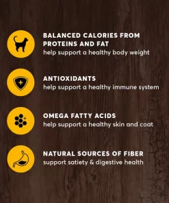 American Journey Indoor Recipe with Chicken Grain-Free Dry Cat Food, 12-lb bag 6 American Journey Indoor Recipe with Chicken Grain-Free Dry Cat Food, 12-lb bag -American Journey Sales 2024 243724 PT4. SY630 V1611089521