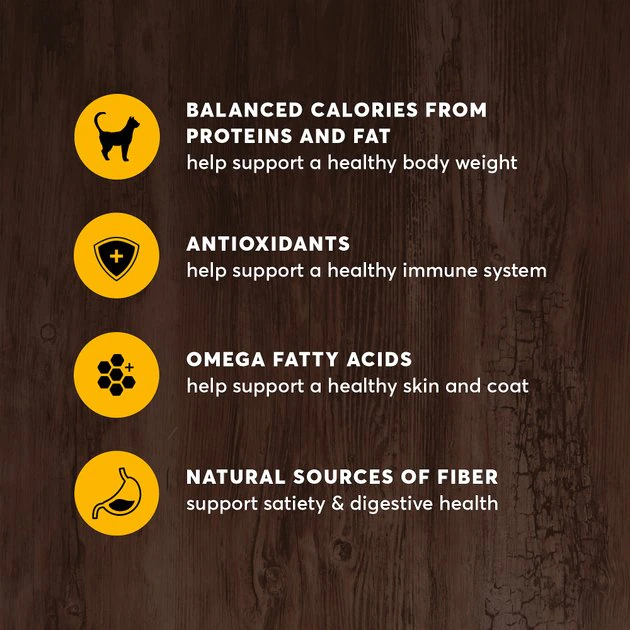 American Journey Indoor Recipe with Chicken Grain-Free Dry Cat Food, 12-lb bag American Journey Indoor Recipe with Chicken Grain-Free Dry Cat Food, 12-lb bag -American Journey Sales 2024 243724 PT4. SY630 V1611089521