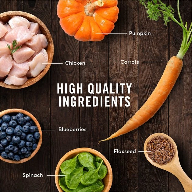 American Journey Indoor Recipe with Chicken Grain-Free Dry Cat Food, 12-lb bag American Journey Indoor Recipe with Chicken Grain-Free Dry Cat Food, 12-lb bag -American Journey Sales 2024 243724 PT5. SY630 V1611089523