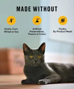 American Journey Indoor Recipe with Chicken Grain-Free Dry Cat Food, 12-lb bag 8 American Journey Indoor Recipe with Chicken Grain-Free Dry Cat Food, 12-lb bag -American Journey Sales 2024 243724 PT6. SY630 V1611089526