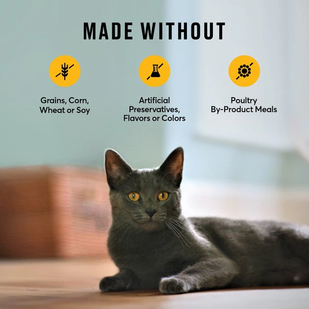 American Journey Indoor Recipe with Chicken Grain-Free Dry Cat Food, 12-lb bag American Journey Indoor Recipe with Chicken Grain-Free Dry Cat Food, 12-lb bag -American Journey Sales 2024 243724 PT6. SY630 V1611089526