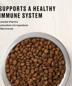 American Journey Indoor Recipe with Salmon Grain-Free Dry Cat Food, 12-lb bag 5 American Journey Indoor Recipe with Salmon Grain-Free Dry Cat Food, 12-lb bag -American Journey Sales 2024 243726 PT3. SY630 V1611089538