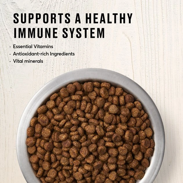 American Journey Indoor Recipe with Salmon Grain-Free Dry Cat Food, 12-lb bag American Journey Indoor Recipe with Salmon Grain-Free Dry Cat Food, 12-lb bag -American Journey Sales 2024 243726 PT3. SY630 V1611089538