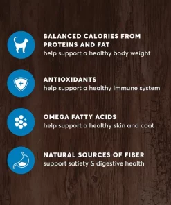 American Journey Indoor Recipe with Salmon Grain-Free Dry Cat Food, 12-lb bag 6 American Journey Indoor Recipe with Salmon Grain-Free Dry Cat Food, 12-lb bag -American Journey Sales 2024 243726 PT4. SY630 V1611089540