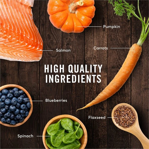 American Journey Indoor Recipe with Salmon Grain-Free Dry Cat Food, 12-lb bag American Journey Indoor Recipe with Salmon Grain-Free Dry Cat Food, 12-lb bag -American Journey Sales 2024 243726 PT5. SY630 V1611089542