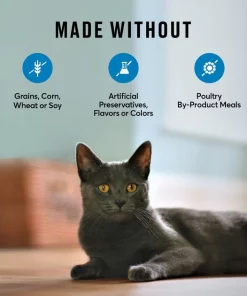 American Journey Indoor Recipe with Salmon Grain-Free Dry Cat Food, 12-lb bag 8 American Journey Indoor Recipe with Salmon Grain-Free Dry Cat Food, 12-lb bag -American Journey Sales 2024 243726 PT6. SY630 V1611089544