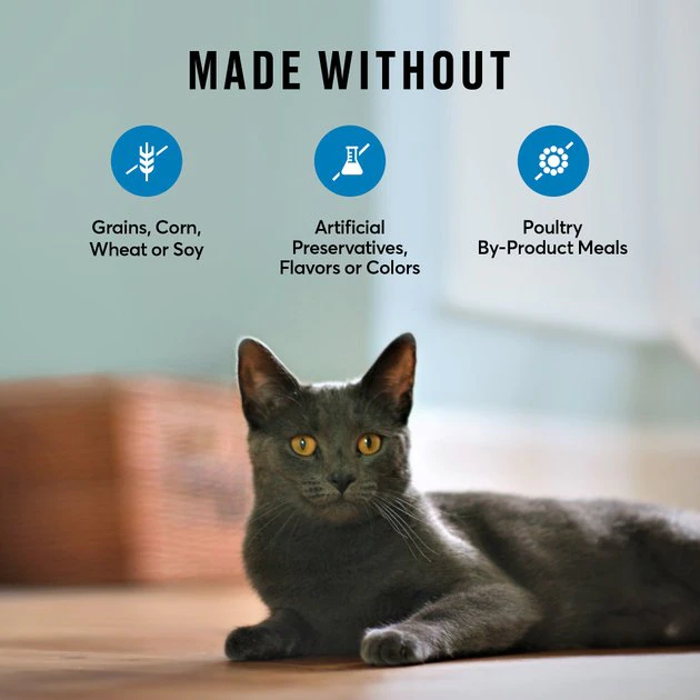 American Journey Indoor Recipe with Salmon Grain-Free Dry Cat Food, 12-lb bag American Journey Indoor Recipe with Salmon Grain-Free Dry Cat Food, 12-lb bag -American Journey Sales 2024 243726 PT6. SY630 V1611089544