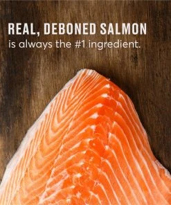 American Journey Indoor Recipe with Salmon Grain-Free Dry Cat Food, 12-lb bag 9 American Journey Indoor Recipe with Salmon Grain-Free Dry Cat Food, 12-lb bag -American Journey Sales 2024 243726 PT7. SY630 V1611608177