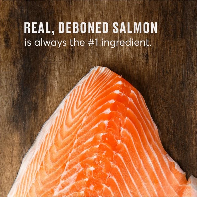 American Journey Indoor Recipe with Salmon Grain-Free Dry Cat Food, 12-lb bag American Journey Indoor Recipe with Salmon Grain-Free Dry Cat Food, 12-lb bag -American Journey Sales 2024 243726 PT7. SY630 V1611608177