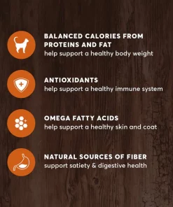 American Journey Indoor Recipe with Turkey & Chicken Grain-Free Dry Cat Food, 12-lb bag -American Journey Sales 2024 243728 PT4. SY630 V1611089557