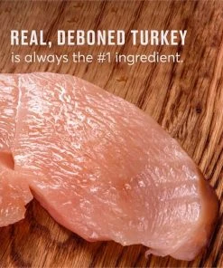 American Journey Indoor Recipe with Turkey & Chicken Grain-Free Dry Cat Food, 12-lb bag -American Journey Sales 2024 243728 PT7. SY630 V1611608179