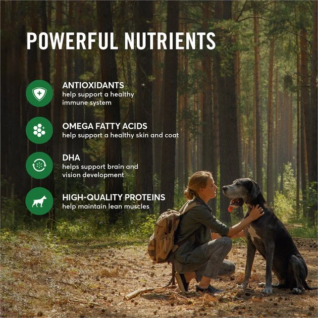 American Journey Duck & Sweet Potato Grain-Free Dry Dog Food, 24 lb bag American Journey Duck & Sweet Potato Grain-Free Dry Dog Food, 24 lb bag -American Journey Sales 2024 245941 PT4. SY630 V1605754029