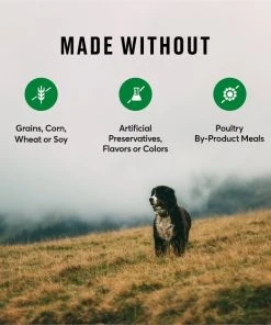 American Journey Duck & Sweet Potato Grain-Free Dry Dog Food, 24 lb bag 8 American Journey Duck & Sweet Potato Grain-Free Dry Dog Food, 24 lb bag -American Journey Sales 2024 245941 PT6. SY630 V1605752540