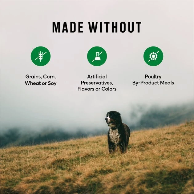 American Journey Duck & Sweet Potato Grain-Free Dry Dog Food, 24 lb bag American Journey Duck & Sweet Potato Grain-Free Dry Dog Food, 24 lb bag -American Journey Sales 2024 245941 PT6. SY630 V1605752540