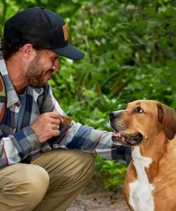 American Journey Adventure Bars Chicken & Cranberry Recipe Grain-Free Soft & Chewy Dog Treats 8 American Journey Adventure Bars Chicken & Cranberry Recipe Grain-Free Soft & Chewy Dog Treats -American Journey Sales 2024 261559 PT6. SY630 V1616123487
