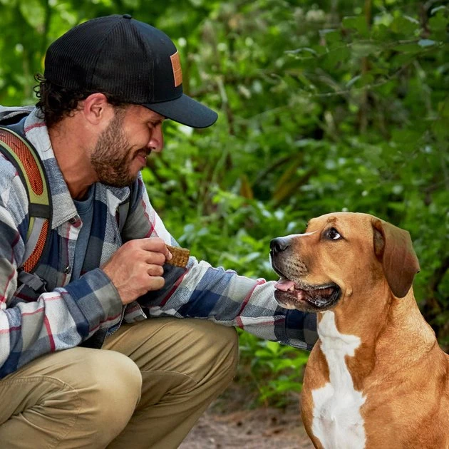 American Journey Adventure Bars Chicken & Cranberry Recipe Grain-Free Soft & Chewy Dog Treats, 8 Count American Journey Adventure Bars Chicken & Cranberry Recipe Grain-Free Soft & Chewy Dog Treats -American Journey Sales 2024 261559 PT6. SY630 V1616123487