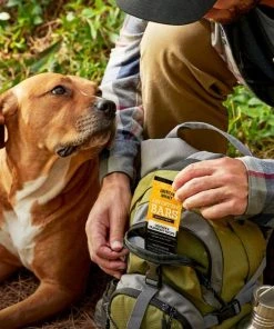 American Journey Adventure Bars Chicken & Cranberry Recipe Grain-Free Soft & Chewy Dog Treats 10 American Journey Adventure Bars Chicken & Cranberry Recipe Grain-Free Soft & Chewy Dog Treats -American Journey Sales 2024 261559 PT8. SY630 V1616123519