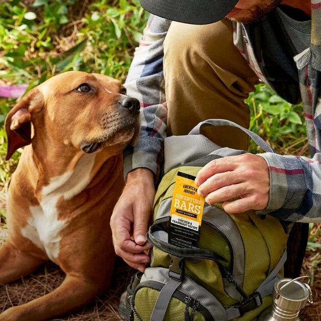 American Journey Adventure Bars Chicken & Cranberry Recipe Grain-Free Soft & Chewy Dog Treats, 8 Count American Journey Adventure Bars Chicken & Cranberry Recipe Grain-Free Soft & Chewy Dog Treats -American Journey Sales 2024 261559 PT8. SY630 V1616123519