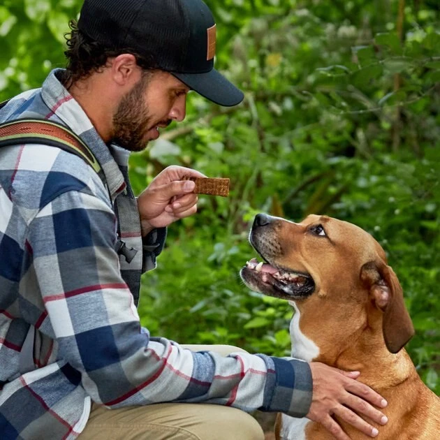 American Journey Adventure Bars Beef & Carrot Recipe Grain-Free Soft & Chewy Dog Treats, 8 Count American Journey Adventure Bars Beef & Carrot Recipe Grain-Free Soft & Chewy Dog Treats -American Journey Sales 2024 261561 PT6. SY630 V1616123532