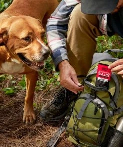 American Journey Adventure Bars Beef & Carrot Recipe Grain-Free Soft & Chewy Dog Treats 10 American Journey Adventure Bars Beef & Carrot Recipe Grain-Free Soft & Chewy Dog Treats -American Journey Sales 2024 261561 PT8. SY630 V1616123493