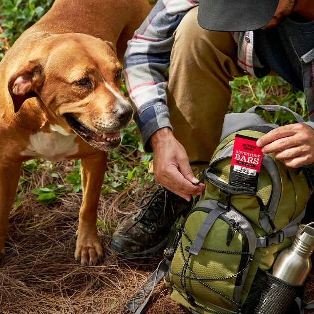 American Journey Adventure Bars Beef & Carrot Recipe Grain-Free Soft & Chewy Dog Treats, 8 Count American Journey Adventure Bars Beef & Carrot Recipe Grain-Free Soft & Chewy Dog Treats -American Journey Sales 2024 261561 PT8. SY630 V1616123493