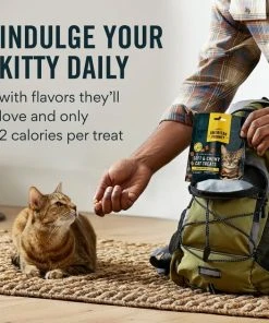 American Journey Chicken Recipe Grain-Free Soft & Chewy Cat Treats 5 American Journey Chicken Recipe Grain-Free Soft & Chewy Cat Treats -American Journey Sales 2024 272115 PT3. SY630 V1620928044